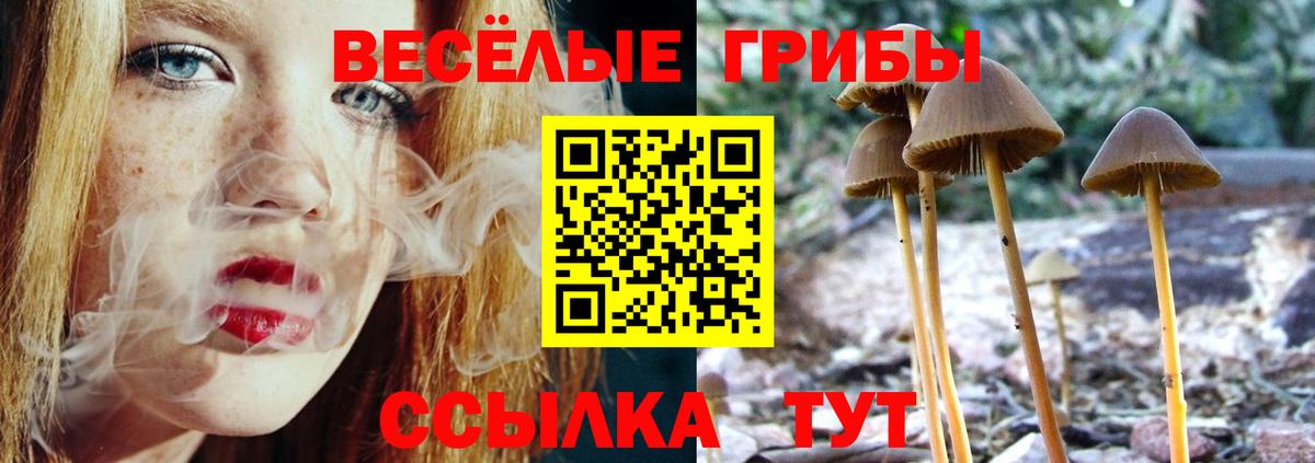 Псилоцибиновые грибы Cubensis  Вход с VPN  Шелехов 